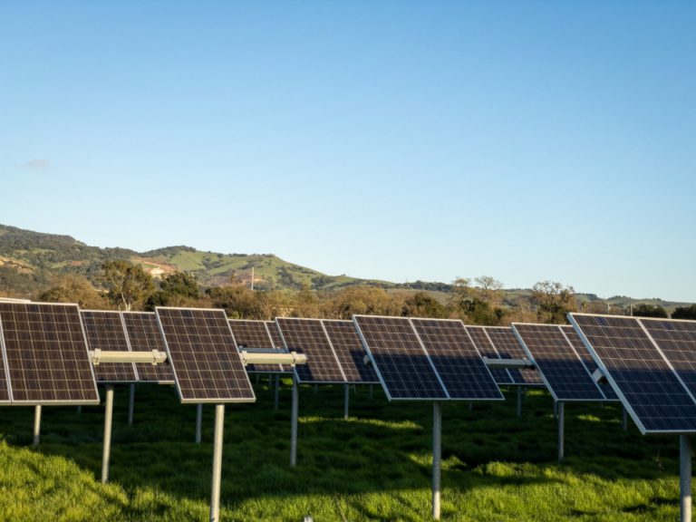 Field of ground-mounted solar panels